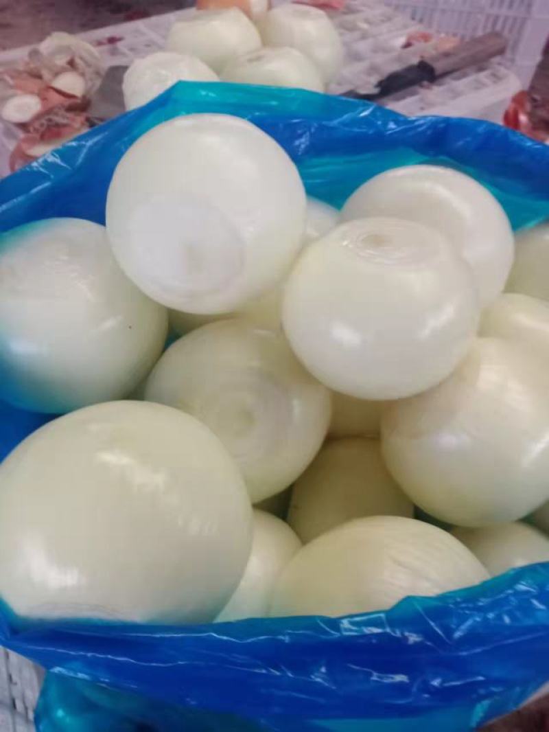 优质精品黄皮洋葱球，品质优良，量大从优，欢迎合作！！！
