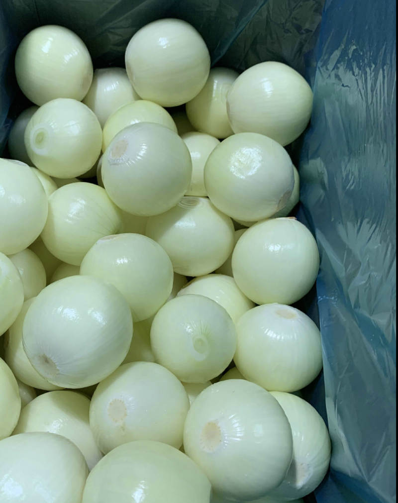 优质精品黄皮洋葱球，品质优良，量大从优，欢迎合作！！！