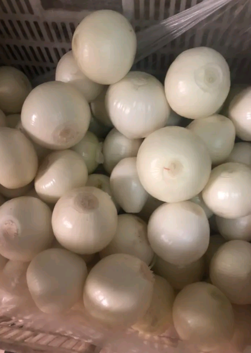 优质精品黄皮洋葱球，品质优良，量大从优，欢迎合作！！！