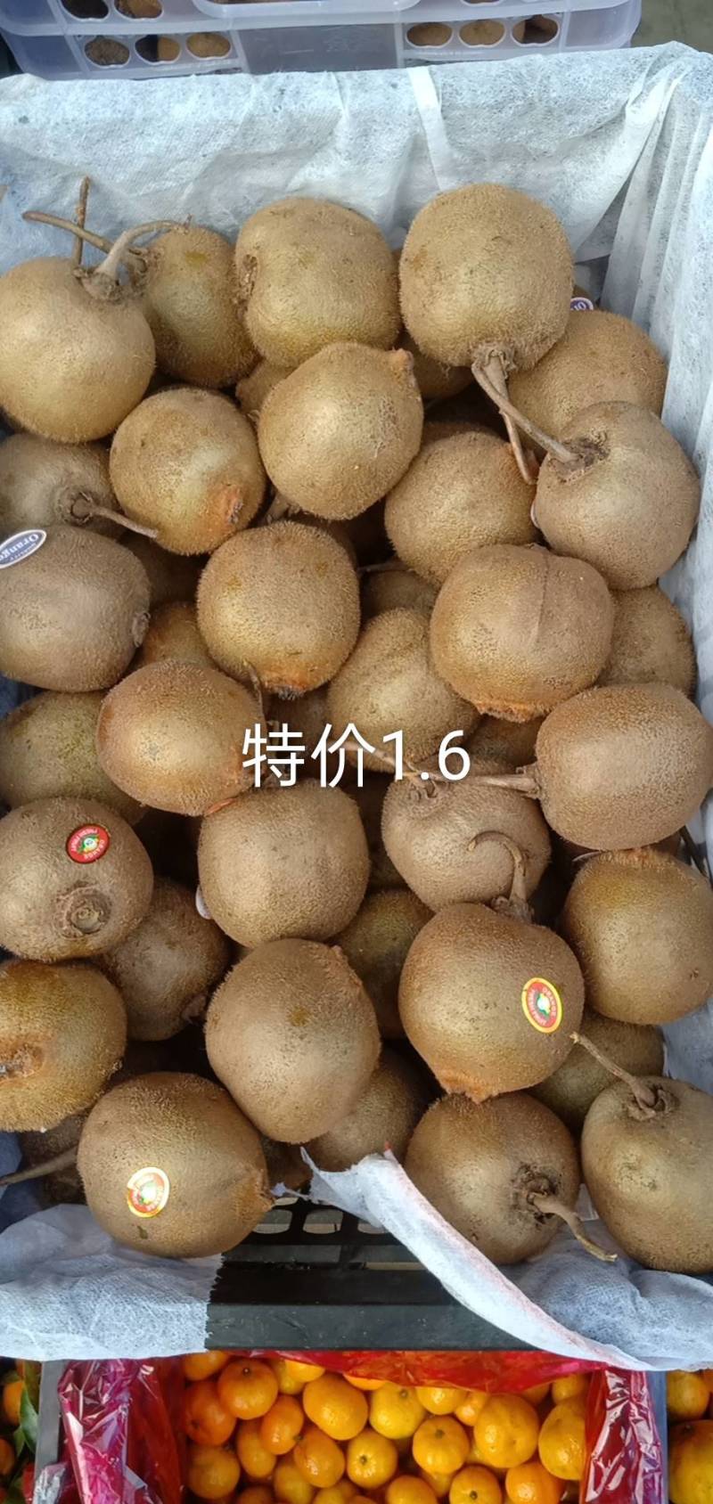 南丰桔，蜜桔，海沃德，米良