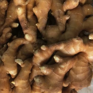 大黄姜，精品优选原产地大黄姜，保质保量，货源充足。
