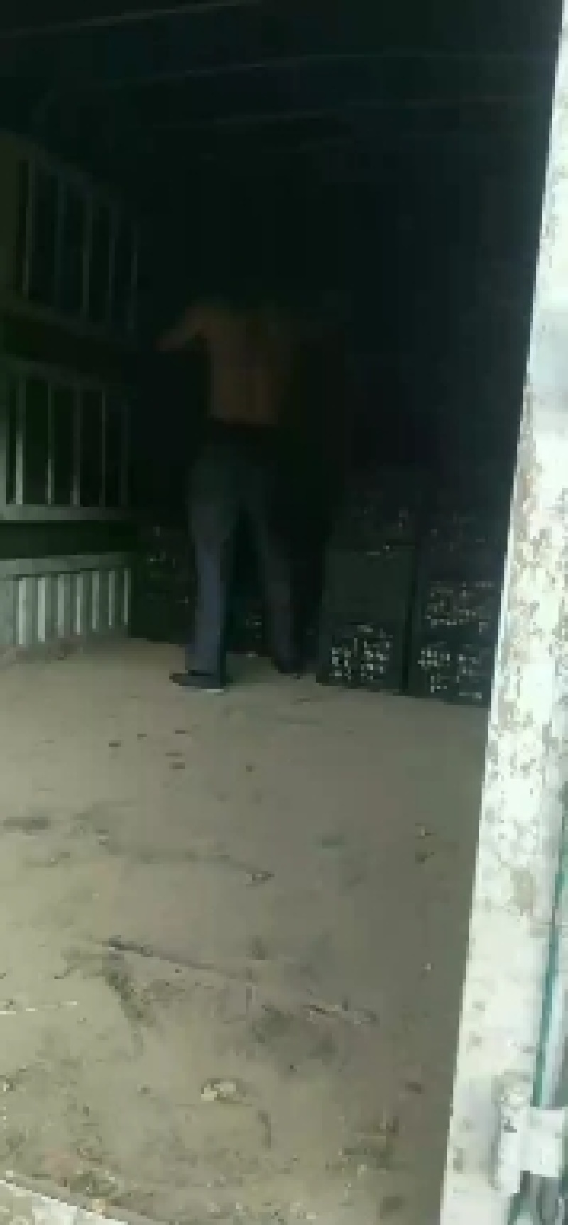 大黄姜，精品优选原产地大黄姜，保质保量，货源充足。