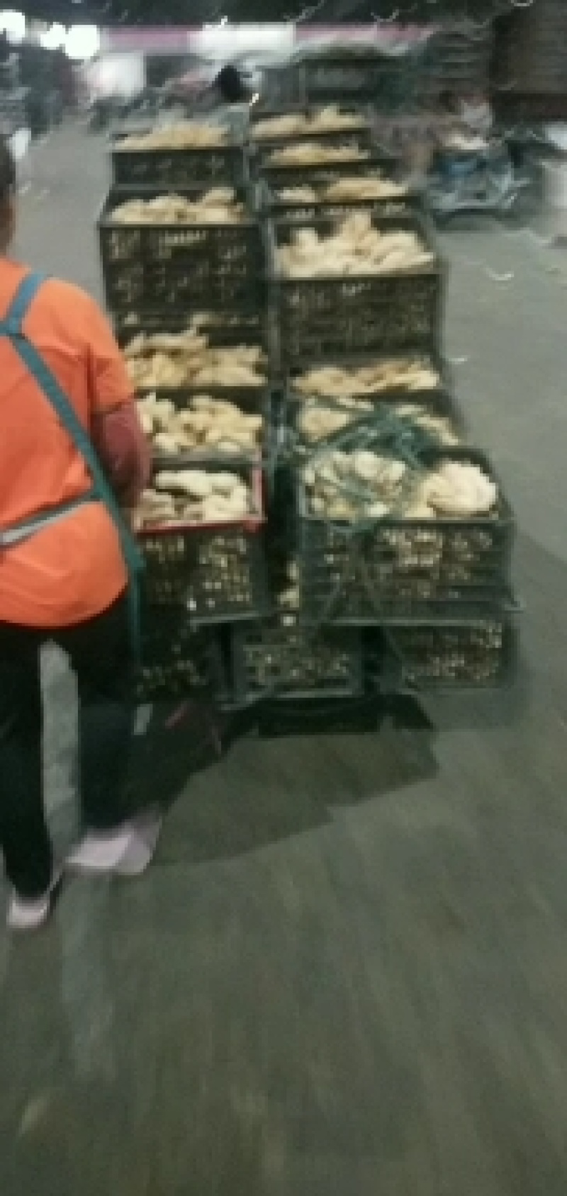 大黄姜，精品优选原产地大黄姜，保质保量，货源充足。
