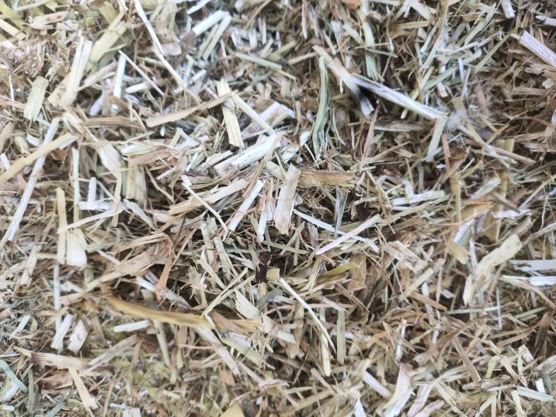 谷草草块玉米秸秆草块