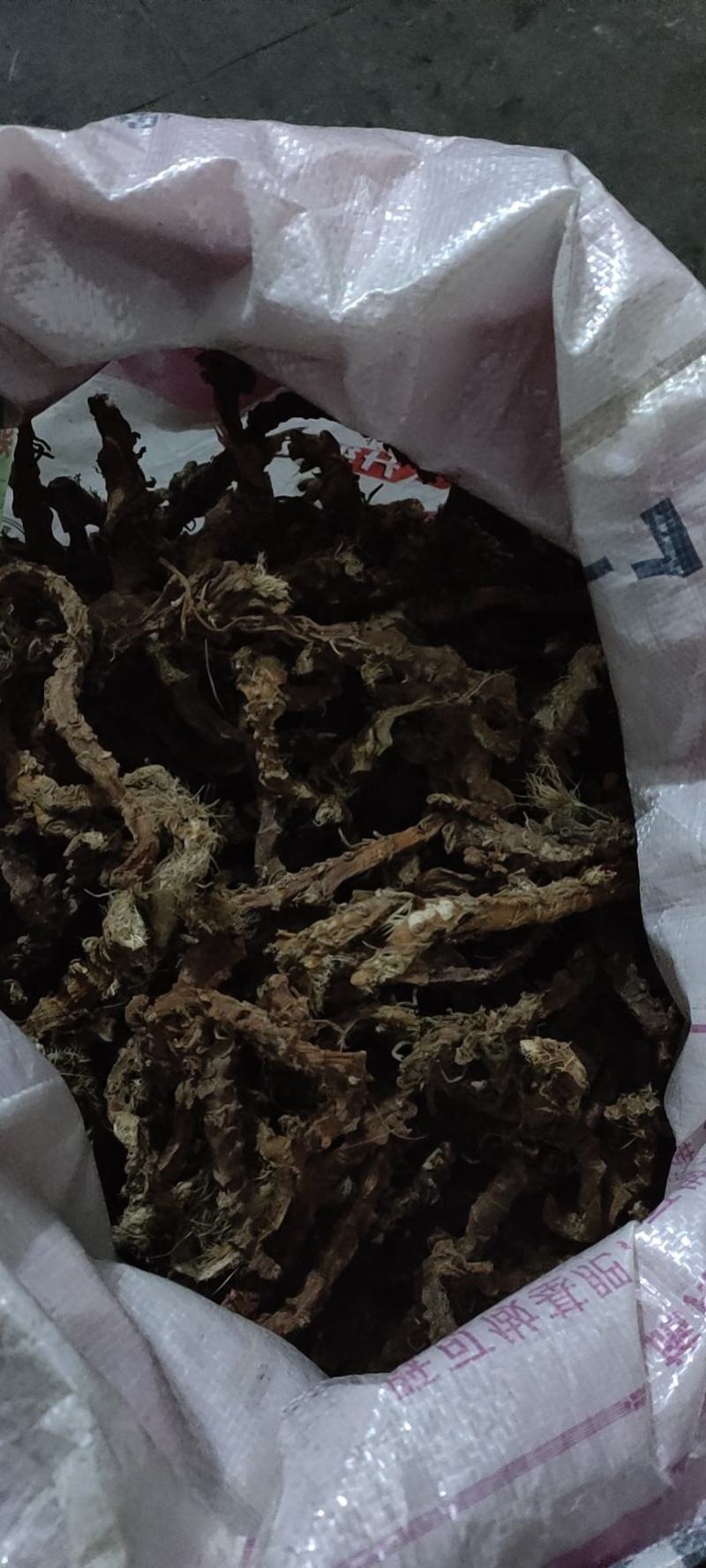 石菖蒲中药材