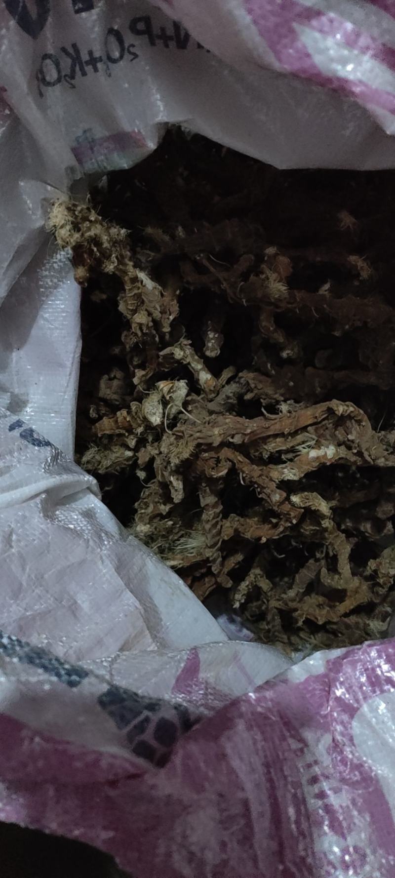 石菖蒲中药材