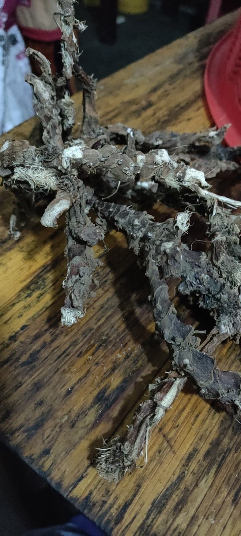 石菖蒲中药材