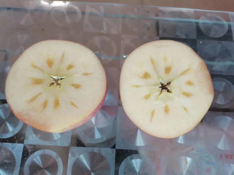 秦阳，嘎啦苹果大量上市中，个大色好条红片红
