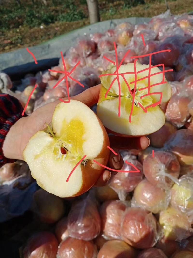 秦阳，嘎啦苹果大量上市中，个大色好条红片红