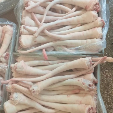 优质整根猪尾巴长期有货屠宰场每天鲜宰现杀青猪尾巴