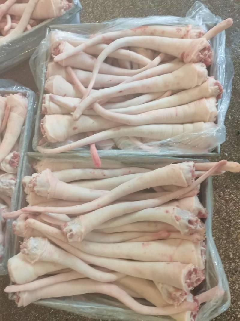 优质整根猪尾巴长期有货屠宰场每天鲜宰现杀青猪尾巴