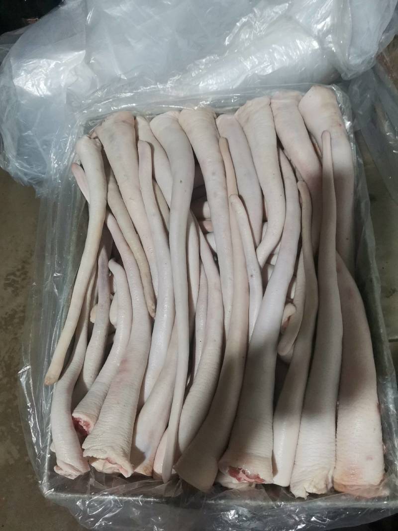 优质整根猪尾巴长期有货屠宰场每天鲜宰现杀青猪尾巴
