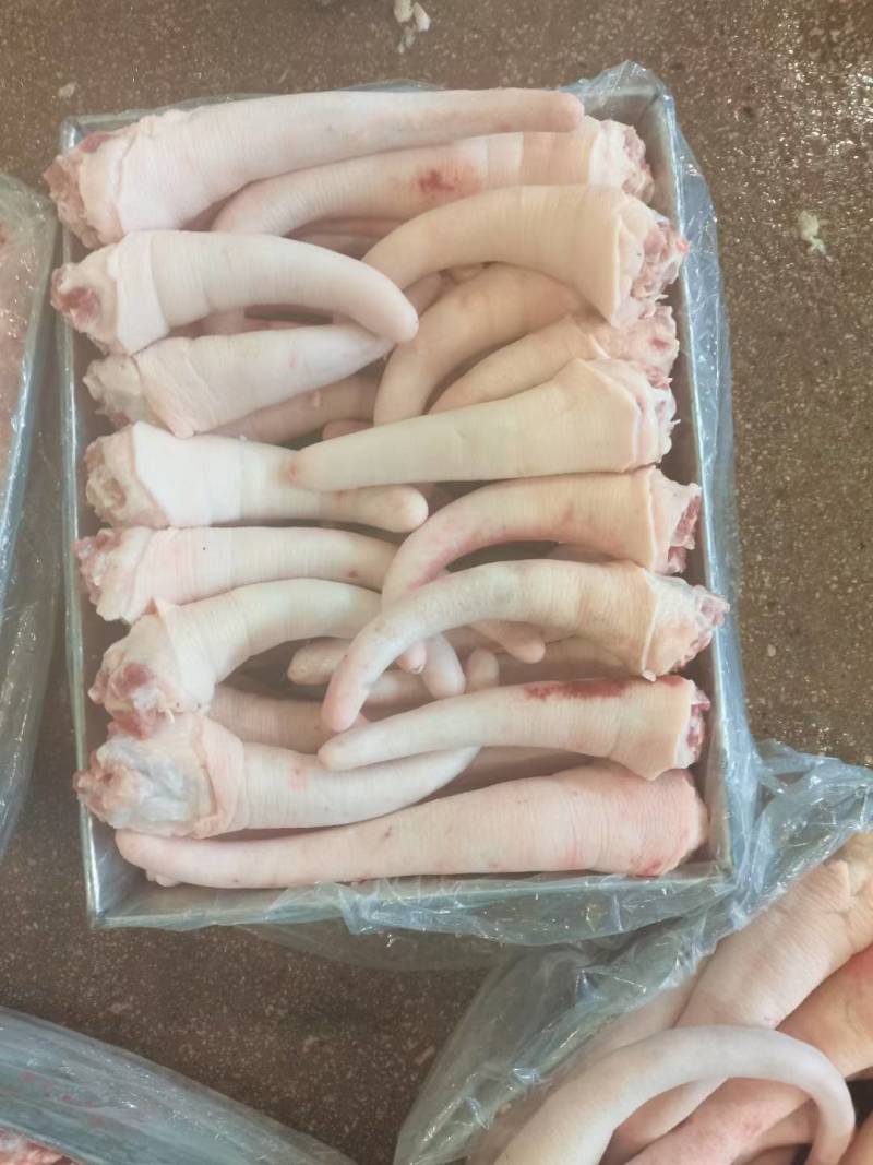 优质整根猪尾巴长期有货屠宰场每天鲜宰现杀青猪尾巴