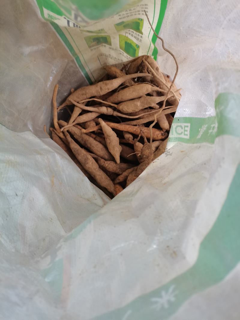 百部鲜货贵州野生无硫无添加产地直销