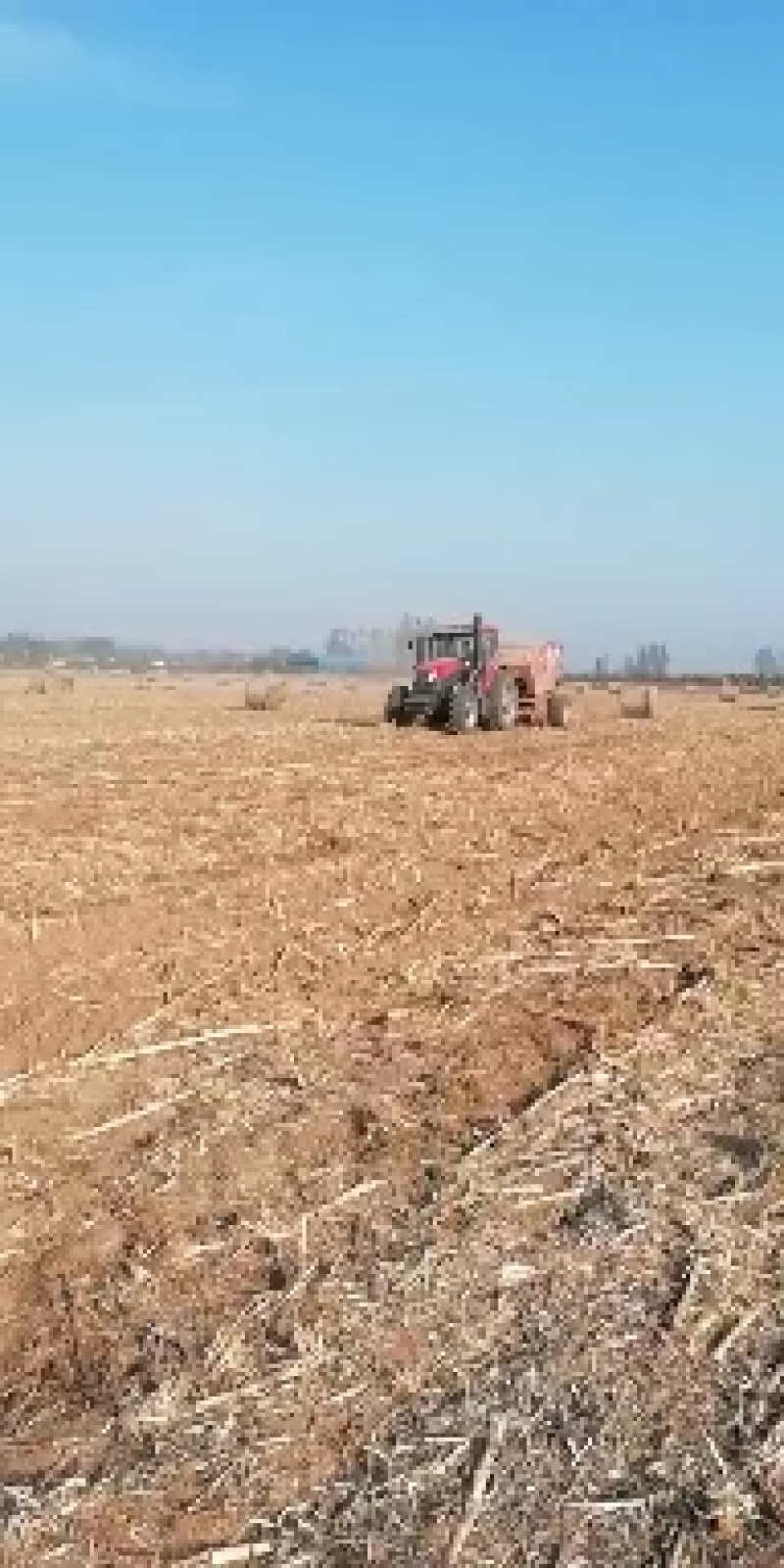 玉米秸秆