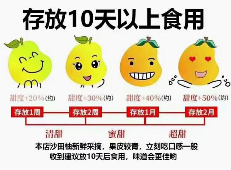 广西容县沙田柚欢迎广大新老客户订购！！！！
