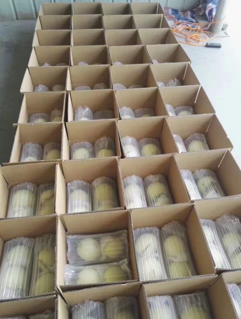 缓冲气柱袋包装易碎品包装