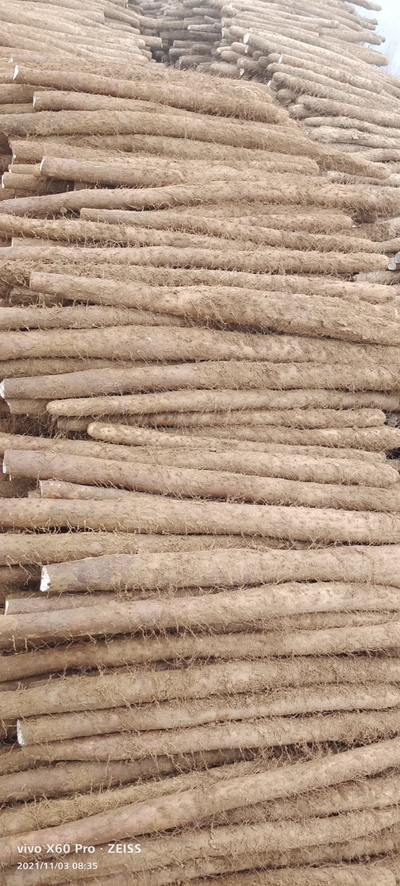 白玉山药