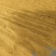山西忻州北京红板椒色素椒打粉出口干辣椒大量上市了
