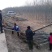 3公分白蜡大量供应，地头装车上货快，万亩白蜡基地