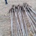 3公分白蜡大量供应，地头装车上货快，万亩白蜡基地