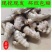 【推荐】姜母山东主产基地主要种植姜为主。代收入库价格实惠