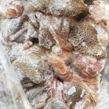 羊肚