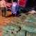 石蒜，大量供应。产地直销，绿化工程必备品，现起现挖