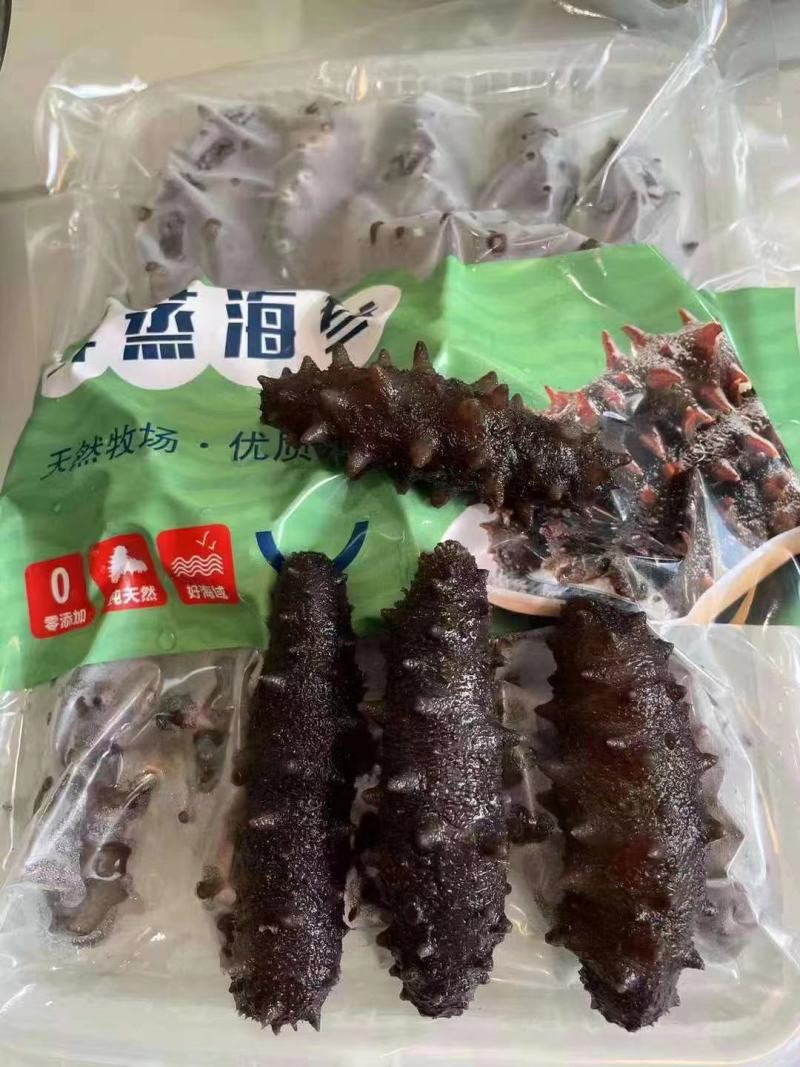 20头左右大连即食海参走量不走价，保证质量！！