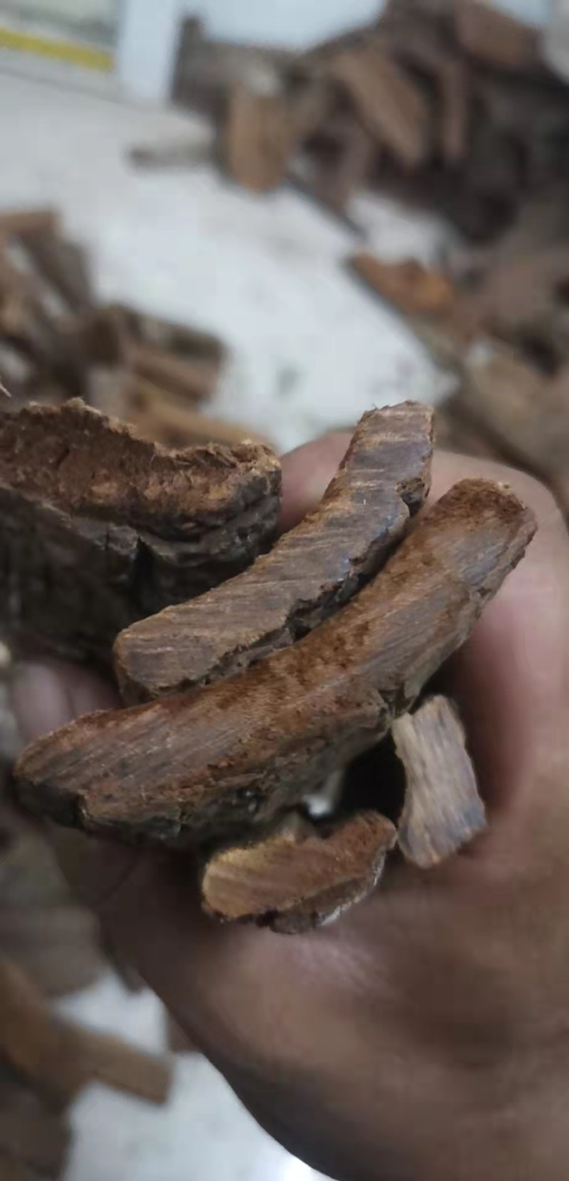 卡宾达无硫磺熏蒸一公斤起批卡宾达