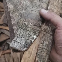 卡宾达无硫磺熏蒸一公斤起批卡宾达