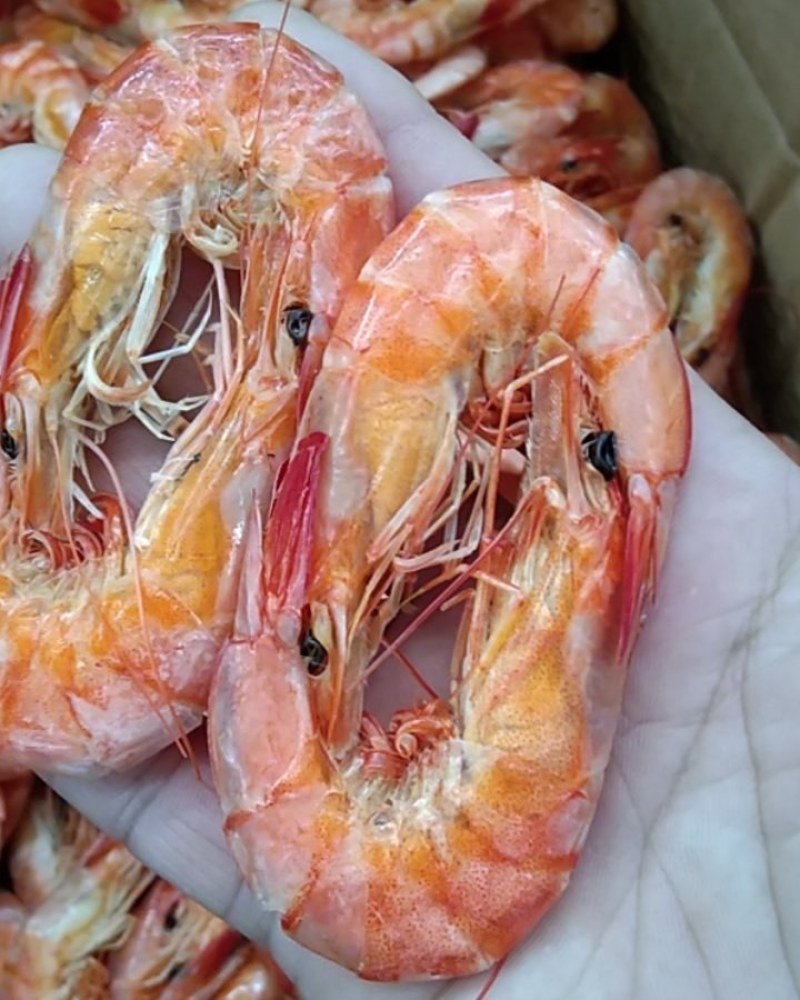 半干湿对虾干！60-70头！一件28斤净货