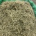 金银花一公斤起批无硫磺熏蒸