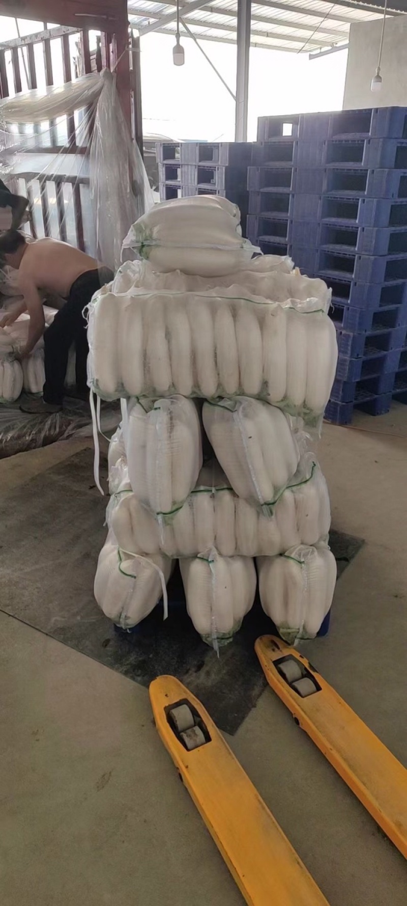 萝卜，湖北枝江鸭子口白萝卜，脆甜皮薄，产地直供