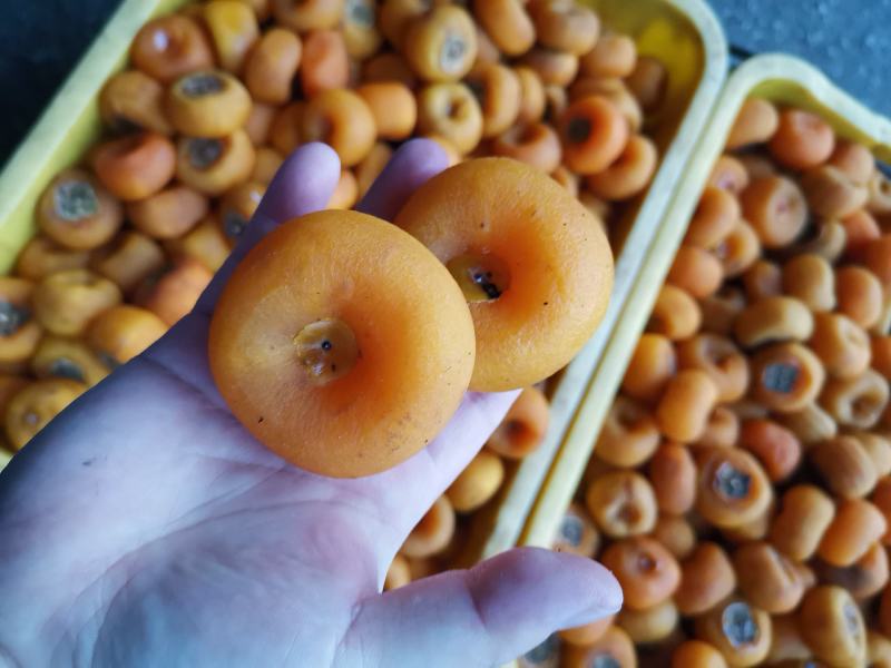 桂林柿饼独立包装手工柿饼圆饼吊饼广西手工柿饼