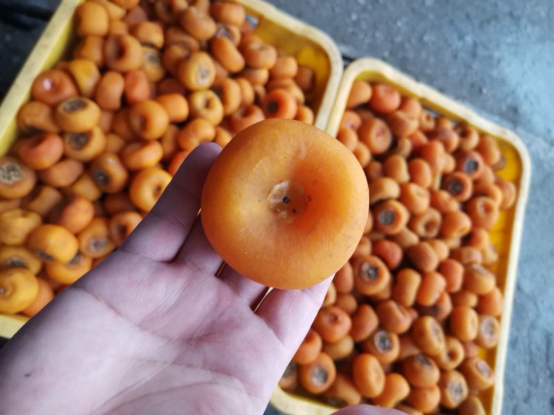 桂林柿饼独立包装手工柿饼圆饼吊饼广西手工柿饼