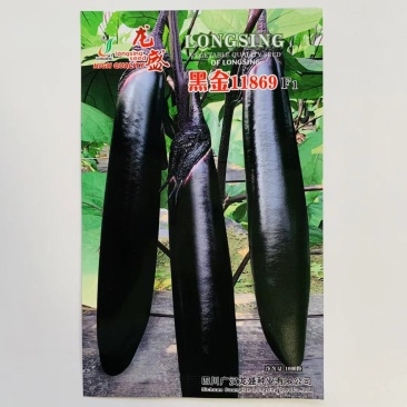 紫黑茄种子龙盛黑金11869早熟品种杂交一代种子