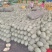 山东小蜜25，，网纹，黄皮对接大型电商，超市，批发