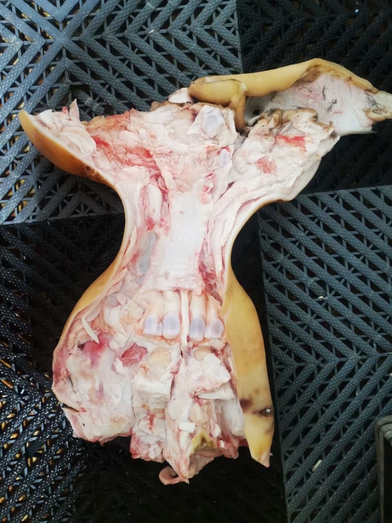 火烧毛大公牛全去骨牛蹄，只去骨不去筋，纯干货