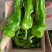 芜湖椒、皮薄、口感好！一手货源、产地直发！