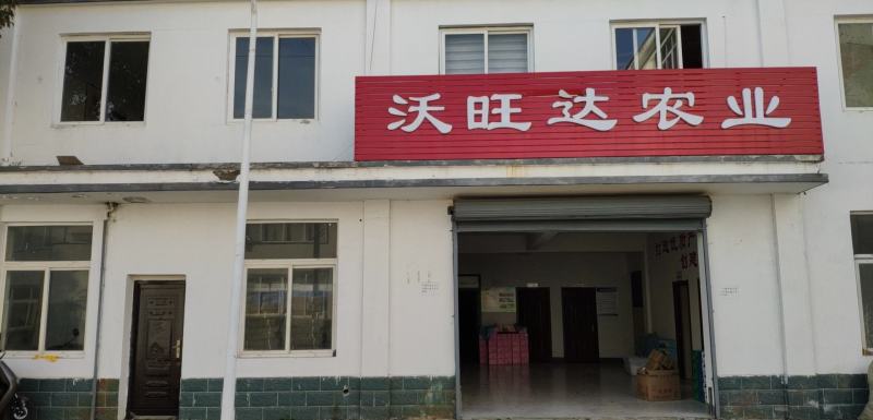 吊瓜子瓜蒌籽瓜子坚果零食干果炒货大颗粒奶香味批发零售
