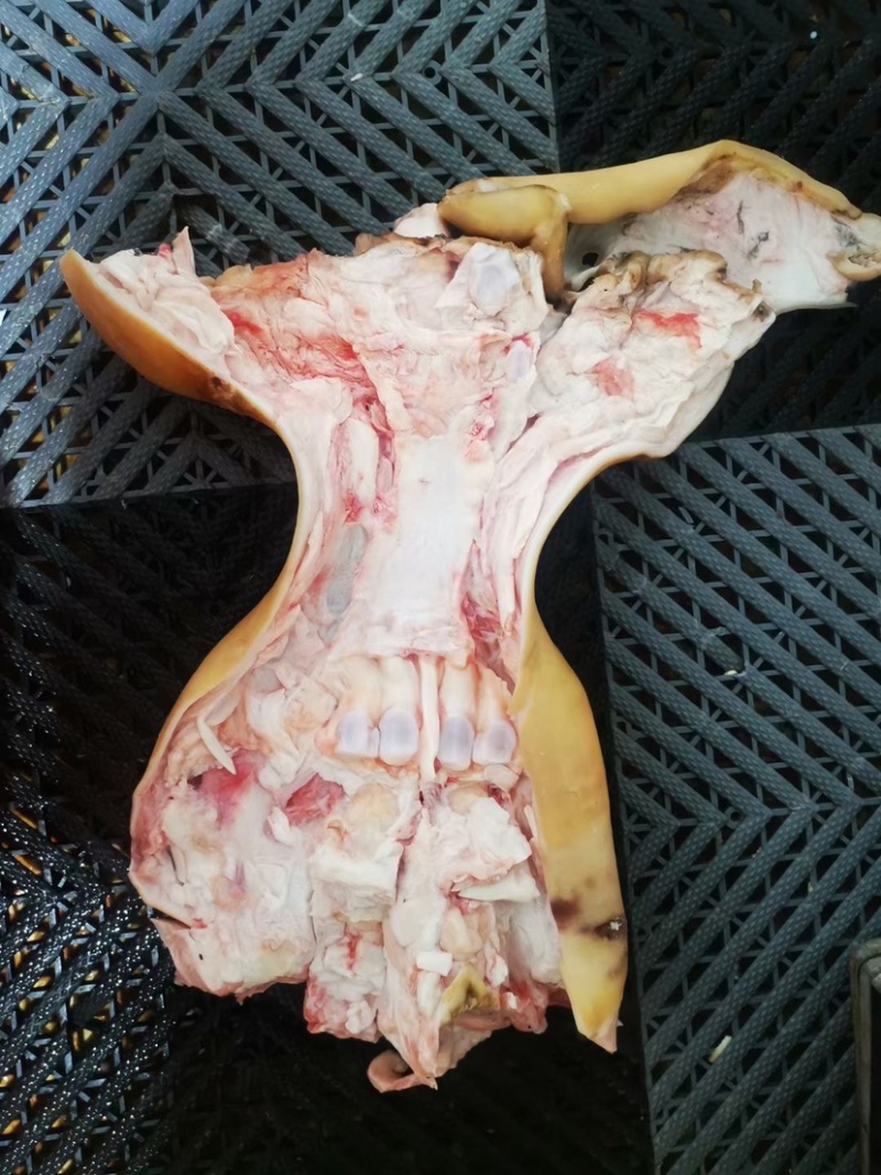 火烧毛大公牛全去骨牛蹄，只去骨不去筋，纯干货