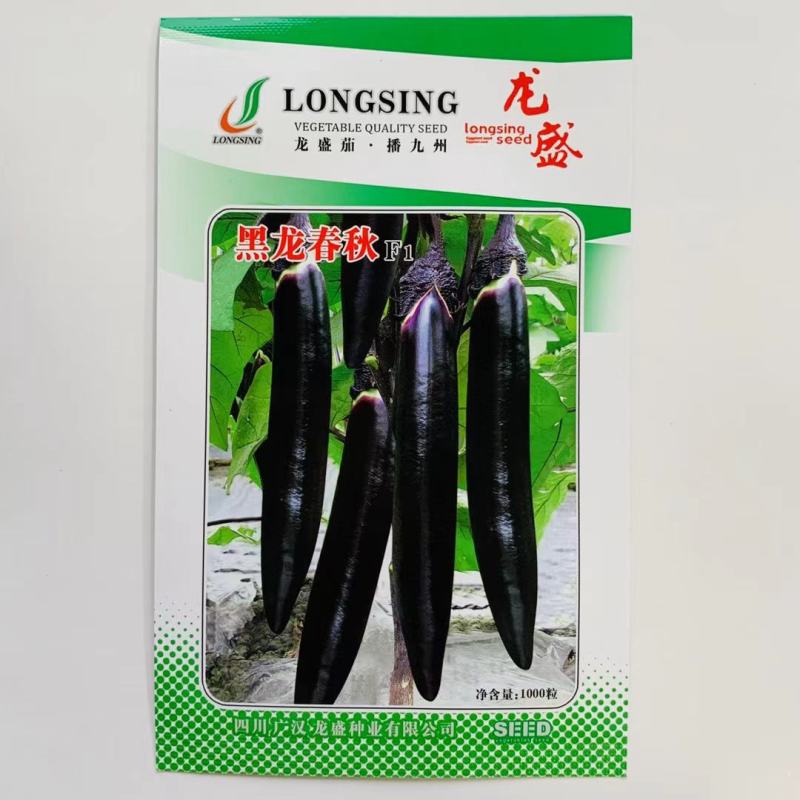 紫黑茄种子龙盛黑金11869早熟品种杂交一代种子