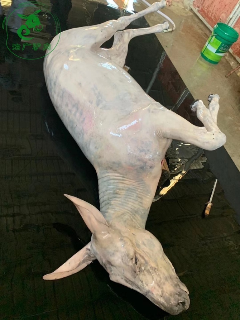 山东肉驴驴肉驴肉驴板肠驴心驴肝驴肺胃驴排