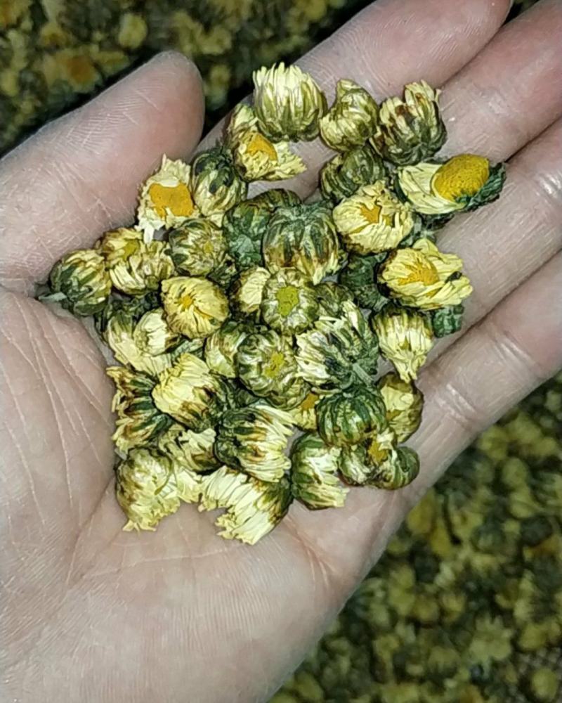 菊花茶胎菊王桐乡杭白菊野菊花茶四季清热去火金丝皇菊