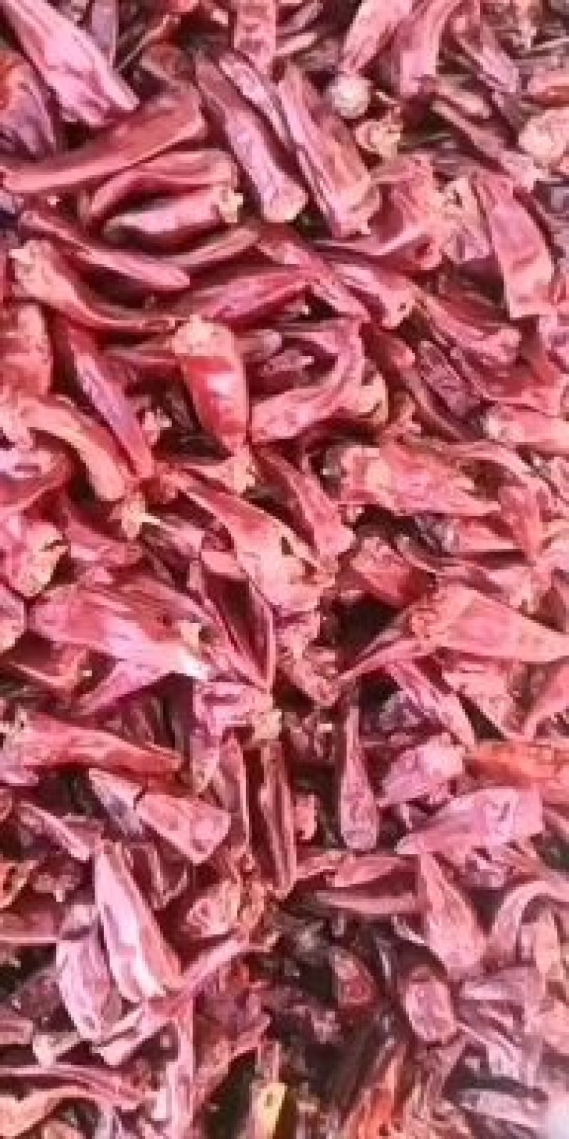 鲜北京红辣椒10厘米中辣红