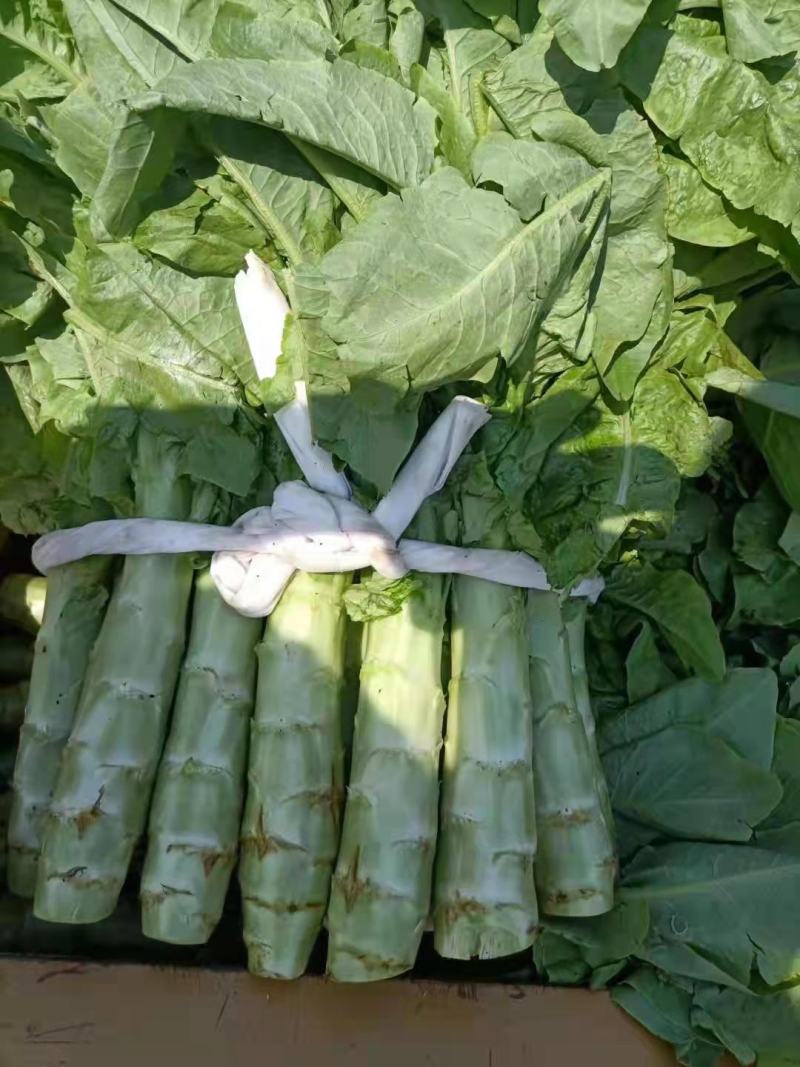 新鲜莴笋大量上市中，有需要随时联系我，一斤半左右