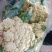 有机松花菜大量上市，青梗白面小米粒，大量上市中代发全国