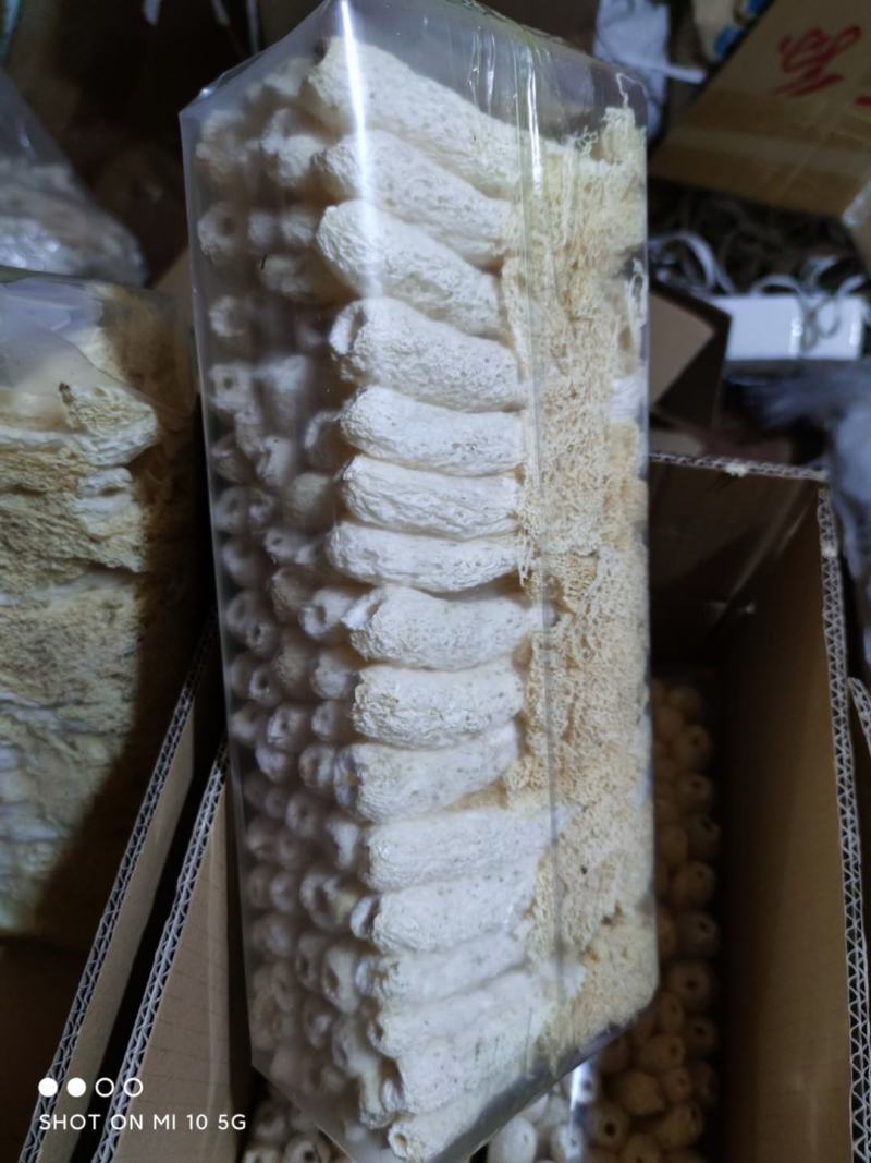 长裙竹荪精选干货专业定制各种大小包装新货无硫薰产地直销