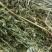 甘肃玉门头茬大捆苜蓿草产地直销国产优质苜蓿草大捆